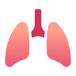 Pulmones icono