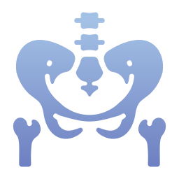 Pelvis icon