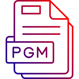 Pgm icon