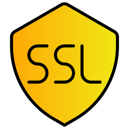 ssl icon