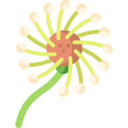 Flower icon