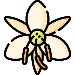 Flower icon