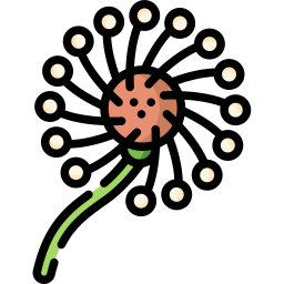 Flower icon