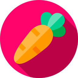 Carrot icon