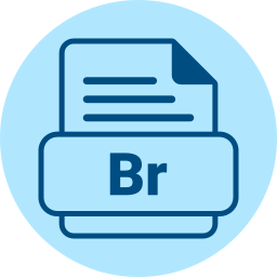 Adobe bridge icon