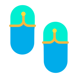 Flip flops icon