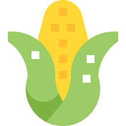 Corn icon