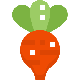 Radish icon