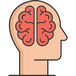 cervello umano icona