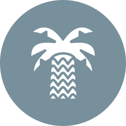 Palm icon