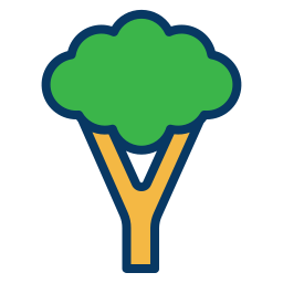 Broccoli icon