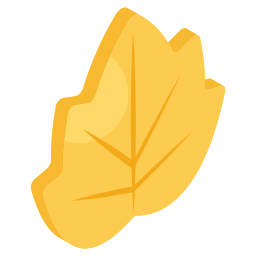 Maple leaf icon