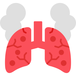 Lung icon