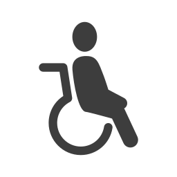 disabilità icona