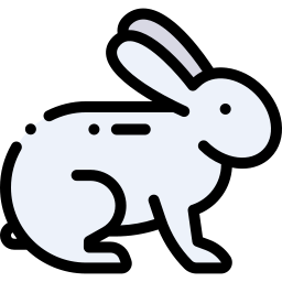 Rabbit icon