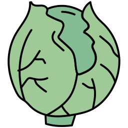 coli-bloem icoon