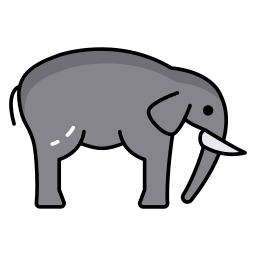 ivoor icoon