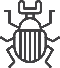 scarabée Icône