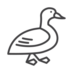 Bird icon