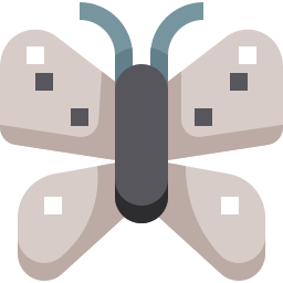 Butterfly icon