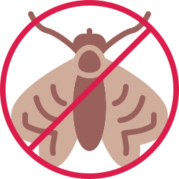 Insect icon