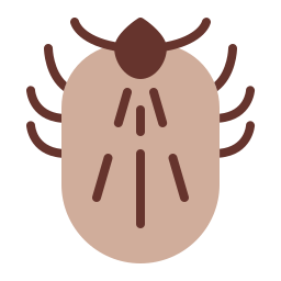 Insect icon