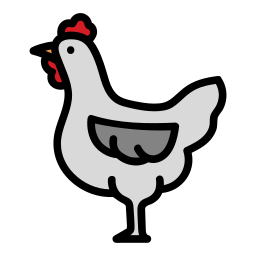 Chicken icon