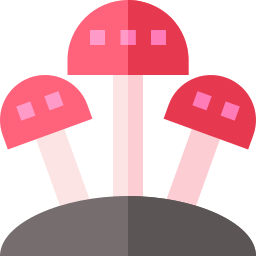 Cogumelos Ícone
