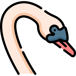 Cisne icono