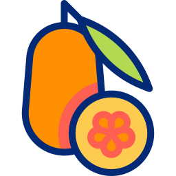 naranja china icono