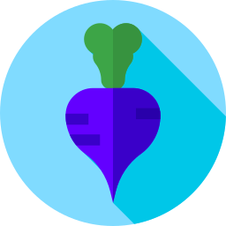 Beetroot icon