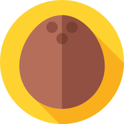 Coco icono