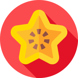 Star fruit icon