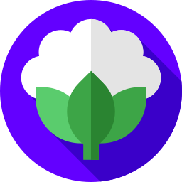 Cauliflower icon