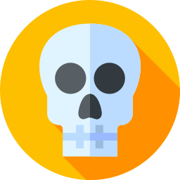 Skull icon