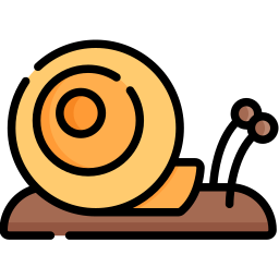 Snail icon