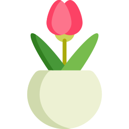 Tulipa Ícone