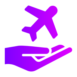 Flight status icon