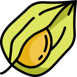 złota jagoda ikona