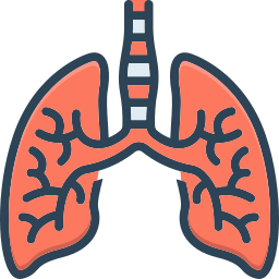 Respiratory icon