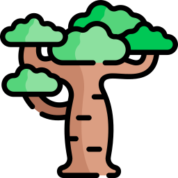 baobab icoon