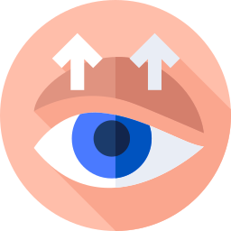 Eyelid icon