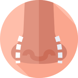 rhinoplastie Icône