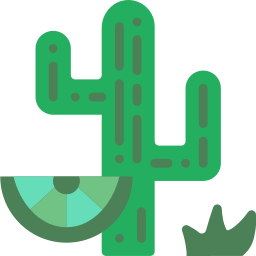 Cactus icono