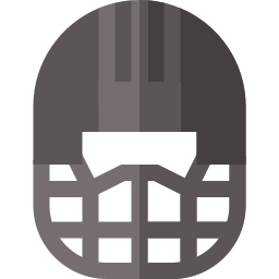 Catcher mask icon