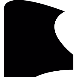 scudo di forma irregolare icona