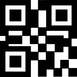 QR codes icon