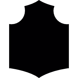 Medieval warrior shield icon