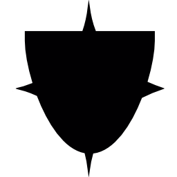 Shield with four spikes icon