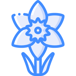Daffodil icon